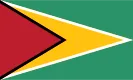 Guyana flag